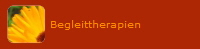Begleittherapien