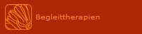 Begleittherapien