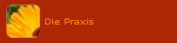 Die Praxis