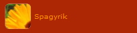 Spagyrik